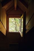 cabane-fenetre.JPG